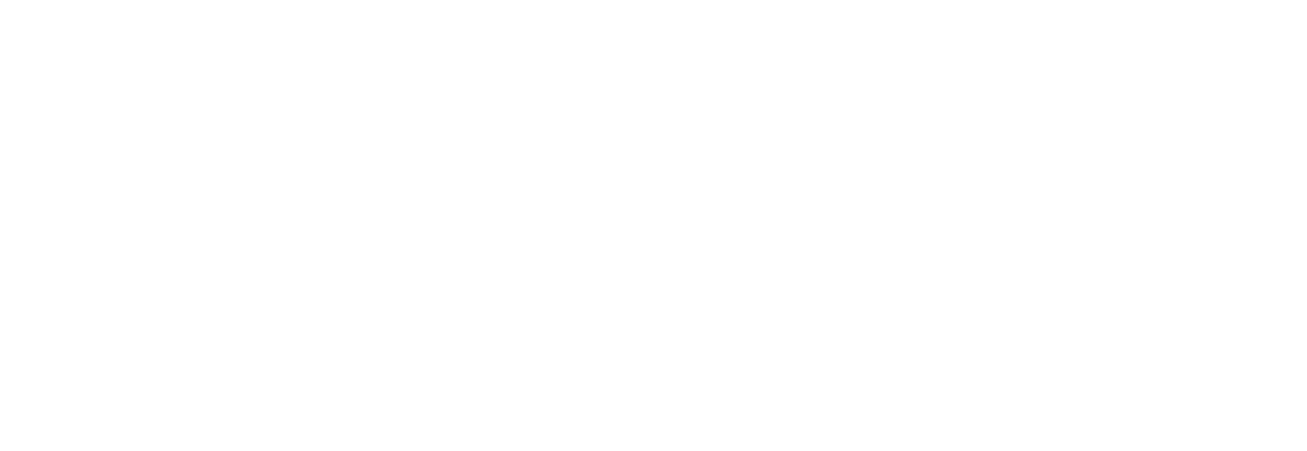Summum Models